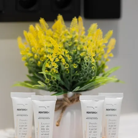 Ludwiki Z Parkingiem By Renters